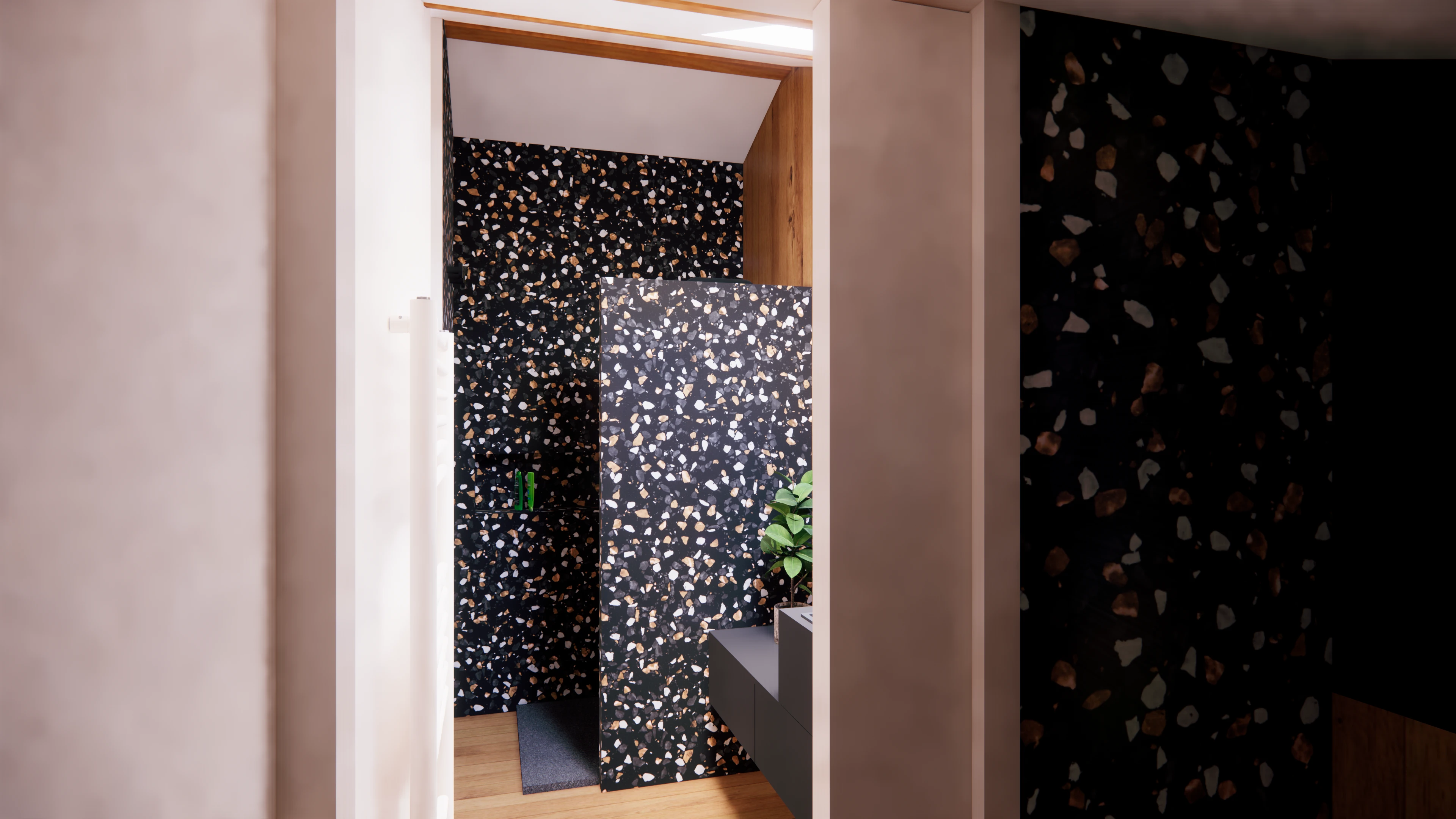 Salle de bain douche